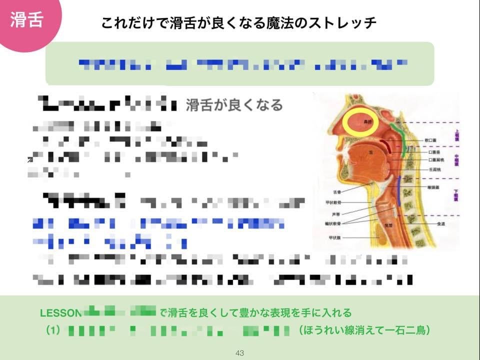 リピーター様特価【通わず1回で魅力３割増し・話す声ボイトレ】たった1回・2時間で一生使える発声法が学べる話す声レッスン（マンツーマンコース）